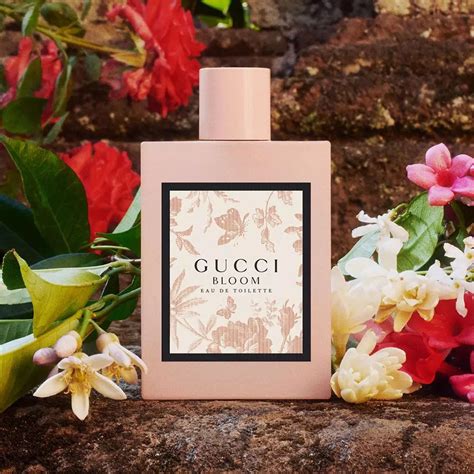 gucci bloom smells like|gucci bloom fragrantica.